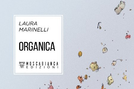 Laura Marinelli, Organica